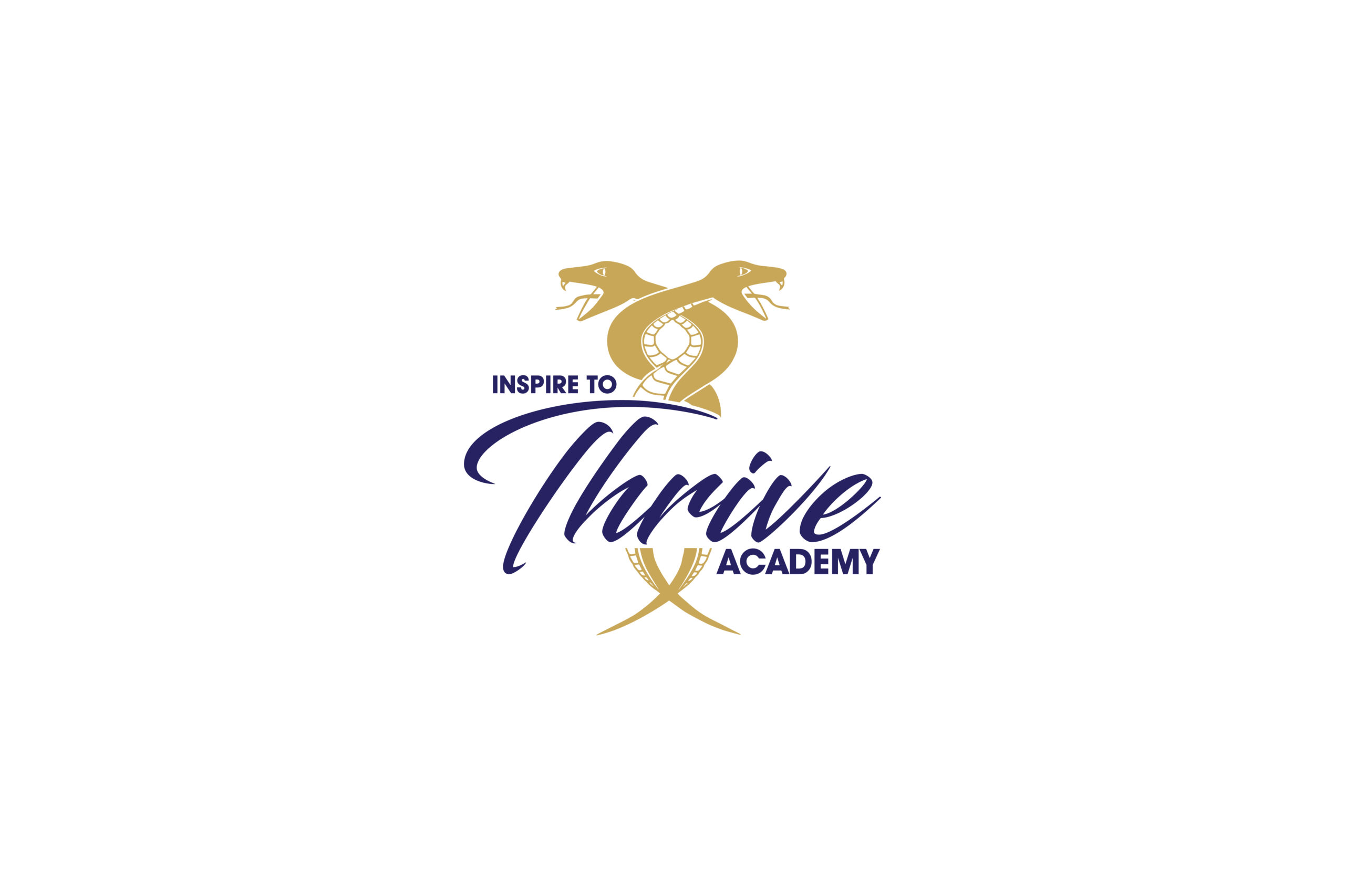 Inspire to Thrive Academy